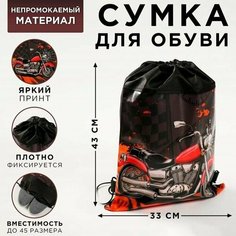 Сумка для обуви Мотоцикл, непромокаемая 43х33х0,5 см Случай