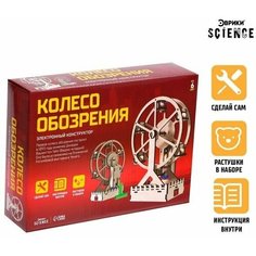 Электронный конструктор Колесо обозрения Нет бренда