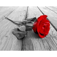 Картина по номерам Роза на столе 40х50 см АртТойс