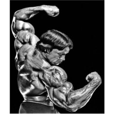 Картина по номерам Мистер Олимпия 40х50 см АртТойс