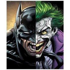 Картина по номерам Добро и зло 40х50 см АртТойс