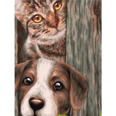 Картина по номерам Дружба 40х50 см Hobby Home