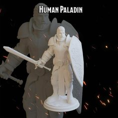 Паладин 51,2мм человек мужчина фигурки/миниатюры (ДнД, DnD, D&D, Dungeons & Dragons, Pathfinder, Подземелья и Драконы, Wargames) Лавка Приключенца