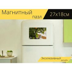 Магнитный пазл "Лимон, лимоне, цитрусовое растение" на холодильник 27 x 18 см. Lots Prints