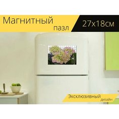 Магнитный пазл "Гортензия, цветок, цвести" на холодильник 27 x 18 см. Lots Prints