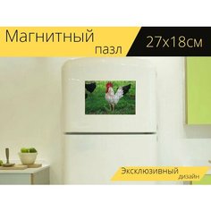 Магнитный пазл "Петух, птица, домашняя птица" на холодильник 27 x 18 см. Lots Prints