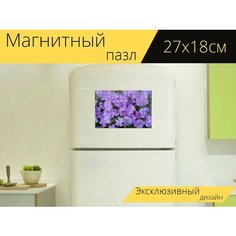 Магнитный пазл "Цветы, лепестки, кумба" на холодильник 27 x 18 см. Lots Prints
