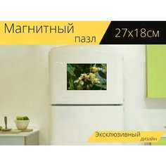 Магнитный пазл "Пчела, карника, липа" на холодильник 27 x 18 см. Lots Prints