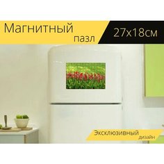 Магнитный пазл "Тюльпаны, поляна, весна" на холодильник 27 x 18 см. Lots Prints