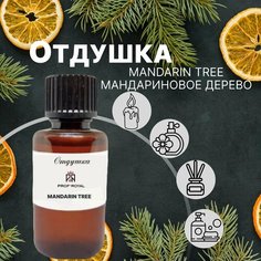 Prof-Royal отдушка парфюмерная Mandarin tree для духов, свечей, мыла и диффузоров, 10 мл