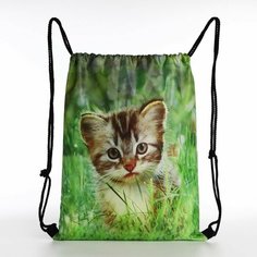 Мешок для обуви на шнурке, цвет зелёный Нет бренда