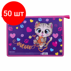 Комплект 50 шт, Папка для труда на молнии BRAUBERG А4, 2 отделения, органайзер, "Playing kitty", 270976