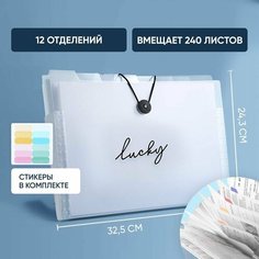 Папка органайзер для документов A4 с файлами на резинке + стикеры, 12 отделений ЧайЧай