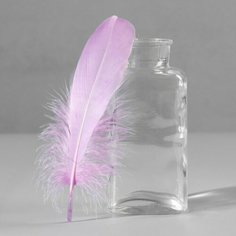 Набор перьев гуся 13-18 см, 20 шт, светло-сиреневый Noname