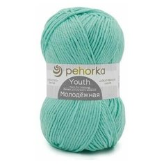 Пряжа "Молодёжная" 91% акрил, 9% полиамид 280м/200гр (411-Мята) Пехорка