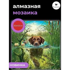 Алмазная мозаика/Живопись/Картина стразами "Собака в водоеме" 30х40 см Барубу