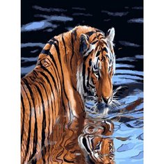 Картина по номерам Отражение силы 40х50 см Hobby Home