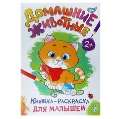 Раскраска для малышей "Домашние животные", формат А4, 16 страниц, 1 шт. Sweet Home