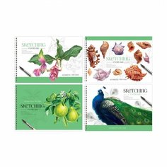 Альбом для рисования А4, 48л BG "Stay magical" (100 г/кв. м, спираль, эконом) (АР4гр48 11848), 4шт. (344750) BG®