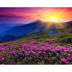 Алмазная мозаика на подрамнике 40х50 Цветочные сопки Kolibriki