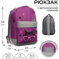 Рюкзак молодёжный, 38 х 28 х 19 см, эргономичная спинка, Calligrata Э "Кот"
