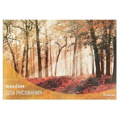 Альбом для рисования А4, 40 листов на скрепке "Лес осенью", обложка мелованный картон, блок 100 г/м² Calligrata
