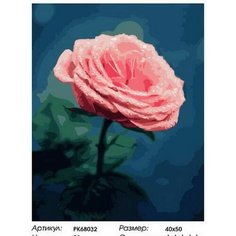 Картина по номерам Дождь на розе 40х50 см АртТойс