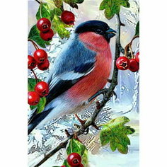 Алмазная мозаика "Зимняя птичка" 20 x 30 см Алмазное хобби