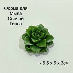 Силиконовая форма для мыла Суккулент мини 3D, для свечей, гипса 1шт 5,5 х 5 х 3см Нет бренда