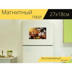 Магнитный пазл "Тюльпаны, цветы, кумба" на холодильник 27 x 18 см. Lots Prints