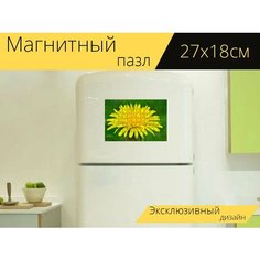 Магнитный пазл "Одуванчик, завод, цветок" на холодильник 27 x 18 см. Lots Prints