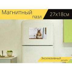 Магнитный пазл "Милый, млекопитающие, животный мир" на холодильник 27 x 18 см. Lots Prints