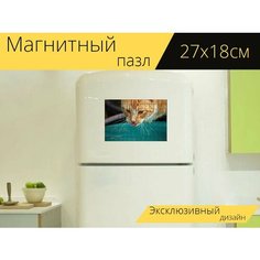 Магнитный пазл "Кот, котенок, рыжий кот" на холодильник 27 x 18 см. Lots Prints