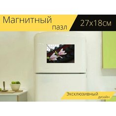 Магнитный пазл "Магнолия, цветы, филиал" на холодильник 27 x 18 см. Lots Prints