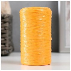 Пряжа для ручного вязания 100% полипропилен 200м/50гр. (03-облепиха), 1шт Noname