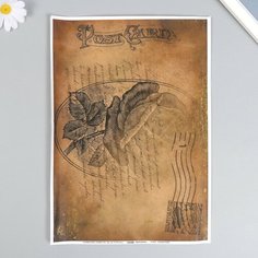 Декупажная карта "Письмо" плотность 45г/м2, формат А4, 5 штук Noname