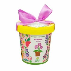 Набор для творчества «Горшок» «Вербена нежная», "Бумбарам"