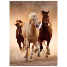 Пазл Clementoni High Quality Collection Бегущие кони (39168), 1000 дет.
