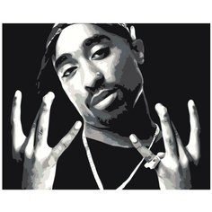 Картина по номерам, "Живопись по номерам", 40 x 50, Z-AB114