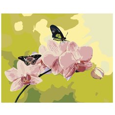 Картина по номерам, "Живопись по номерам", 40 x 50, ARTH-AH243, цветы, бабочки, Весна, орхидеи, ветка, розовый лепесток