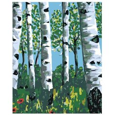 Картина по номерам, "Живопись по номерам", 80 x 100, RA112