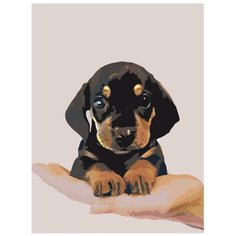 Картина по номерам, "Живопись по номерам", 36 x 48, NEGV-zlit090919V3-1-3040