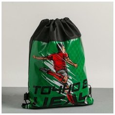 Сумка для обуви «Точно в цель», 41х30х0,5 см Art Fox