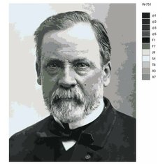 Картина по номерам W-751 "Луи Пастер" 80x100 Brushes Paints