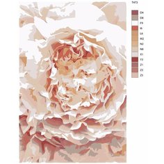 Картина по номерам T473 "пион нежно розовый" 70x110 Brushes Paints