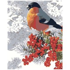 Картина по номерам Снегирь 40х50 см Hobby Home