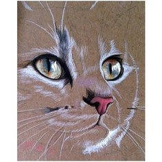 Картина по номерам Мордочка кошки 40х50 см 000 Art Hobby Home