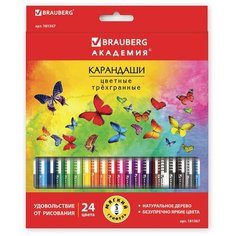 BRAUBERG Карандаши цветные Бабочки 24 цвета (181367) разноцветный