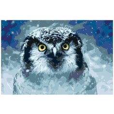 Картина по номерам, "Живопись по номерам", 100 x 150, A430, сова, птица, вечер, перья, портрет