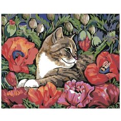 Картина по номерам, "Живопись по номерам", 48 x 60, A121, кот, маки, животное, домашний